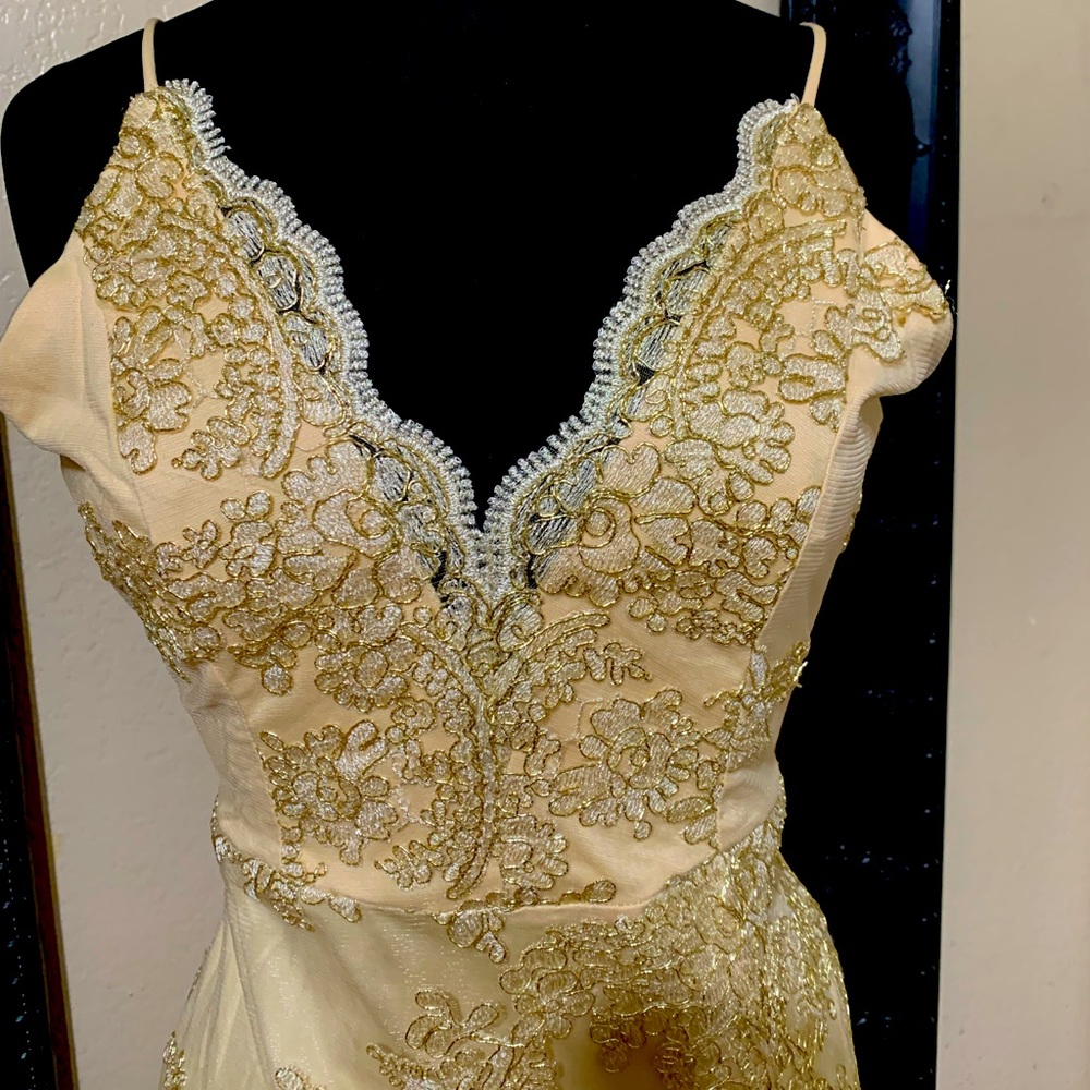 Party Dress Windsor size S 💞